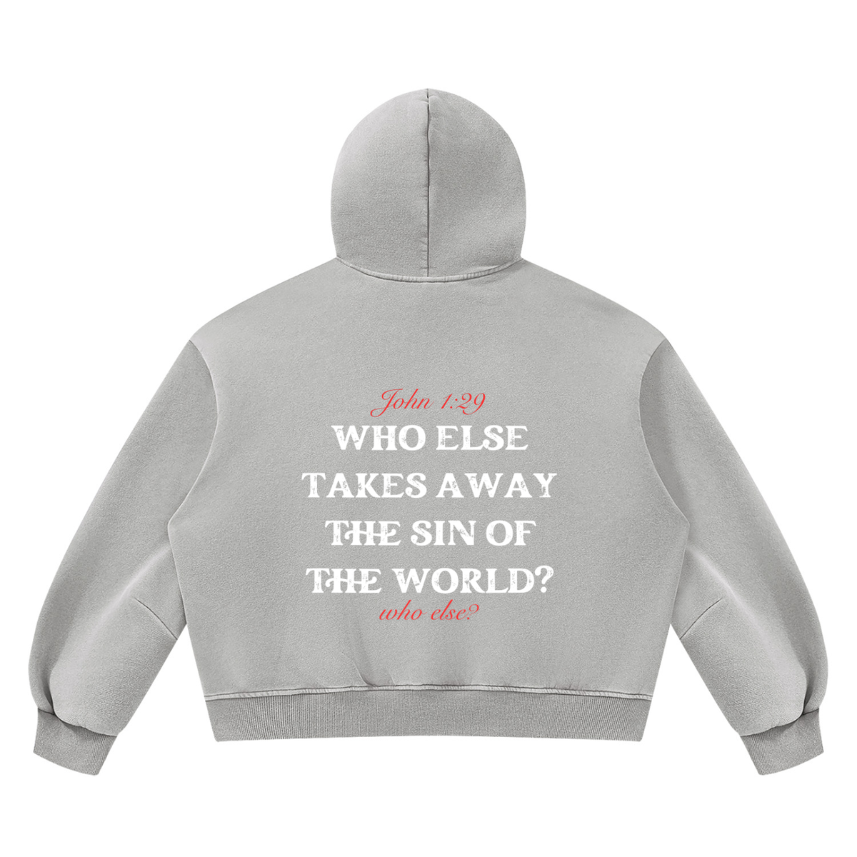 Behold The Lamb Unisex Vintage Wash Boxy Fleece Hoodie