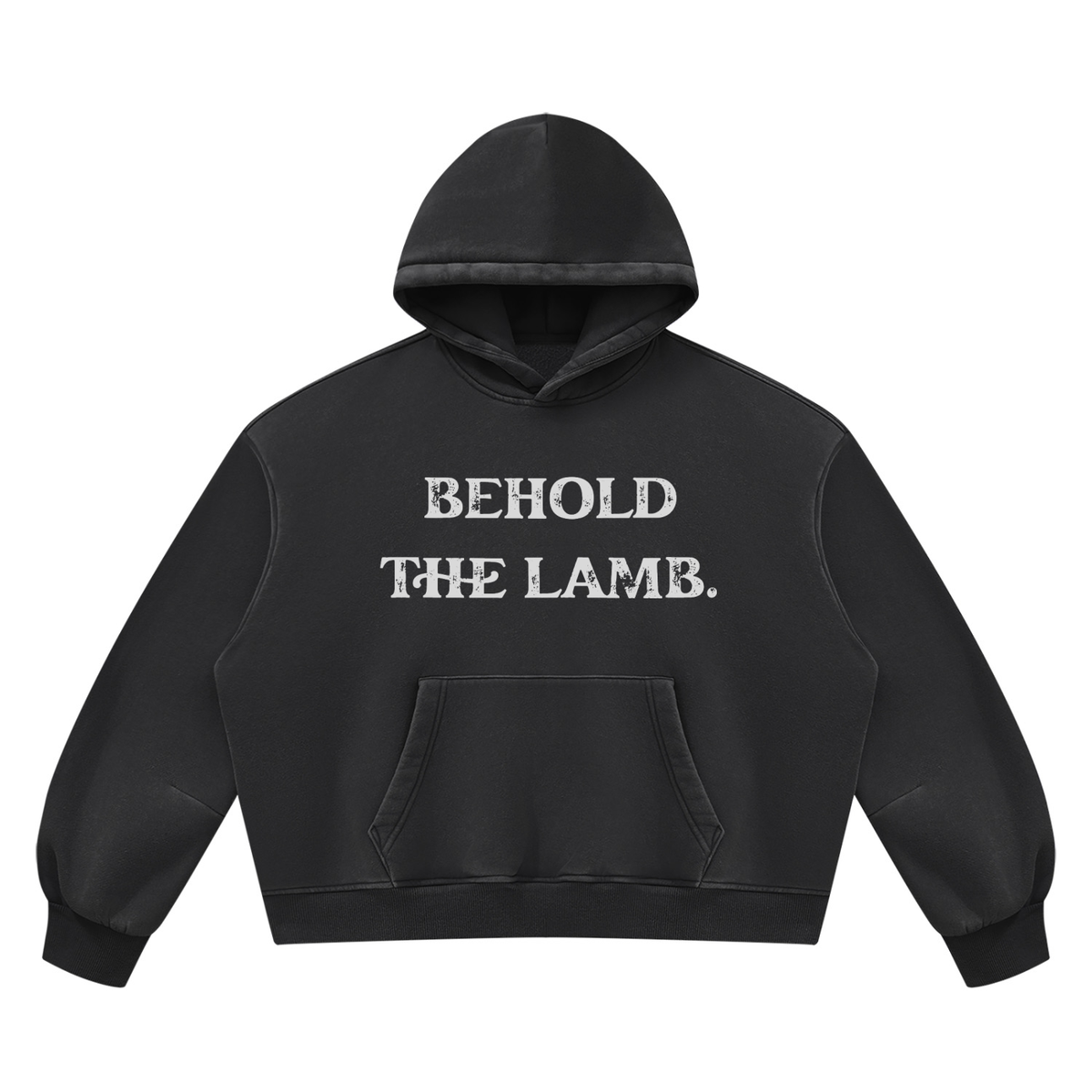 Behold The Lamb Unisex Vintage Wash Boxy Fleece Hoodie