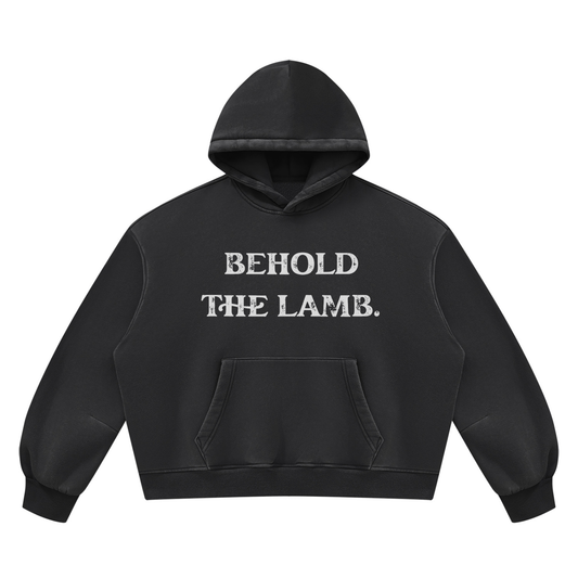 Behold The Lamb Unisex Vintage Wash Boxy Fleece Hoodie