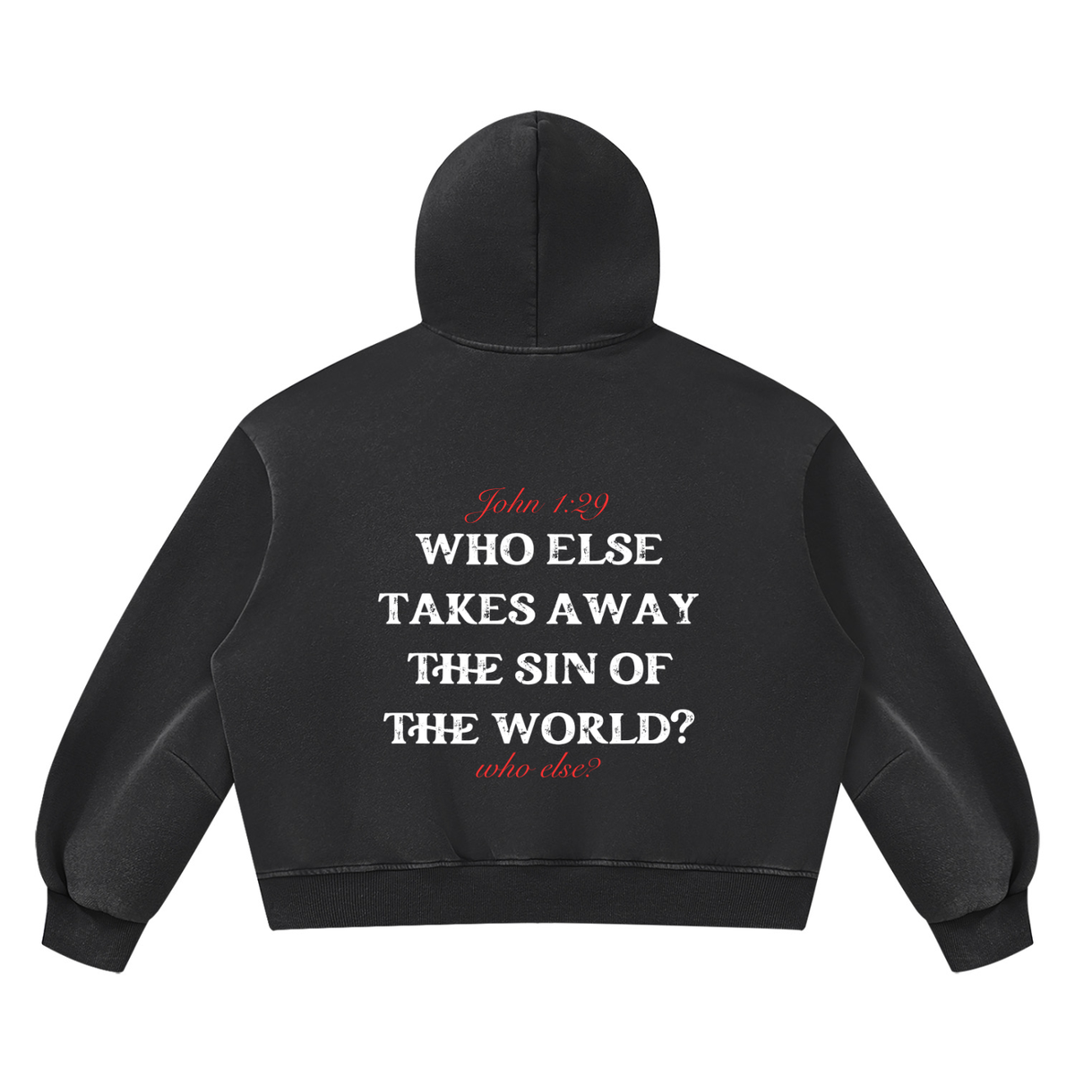Behold The Lamb Unisex Vintage Wash Boxy Fleece Hoodie