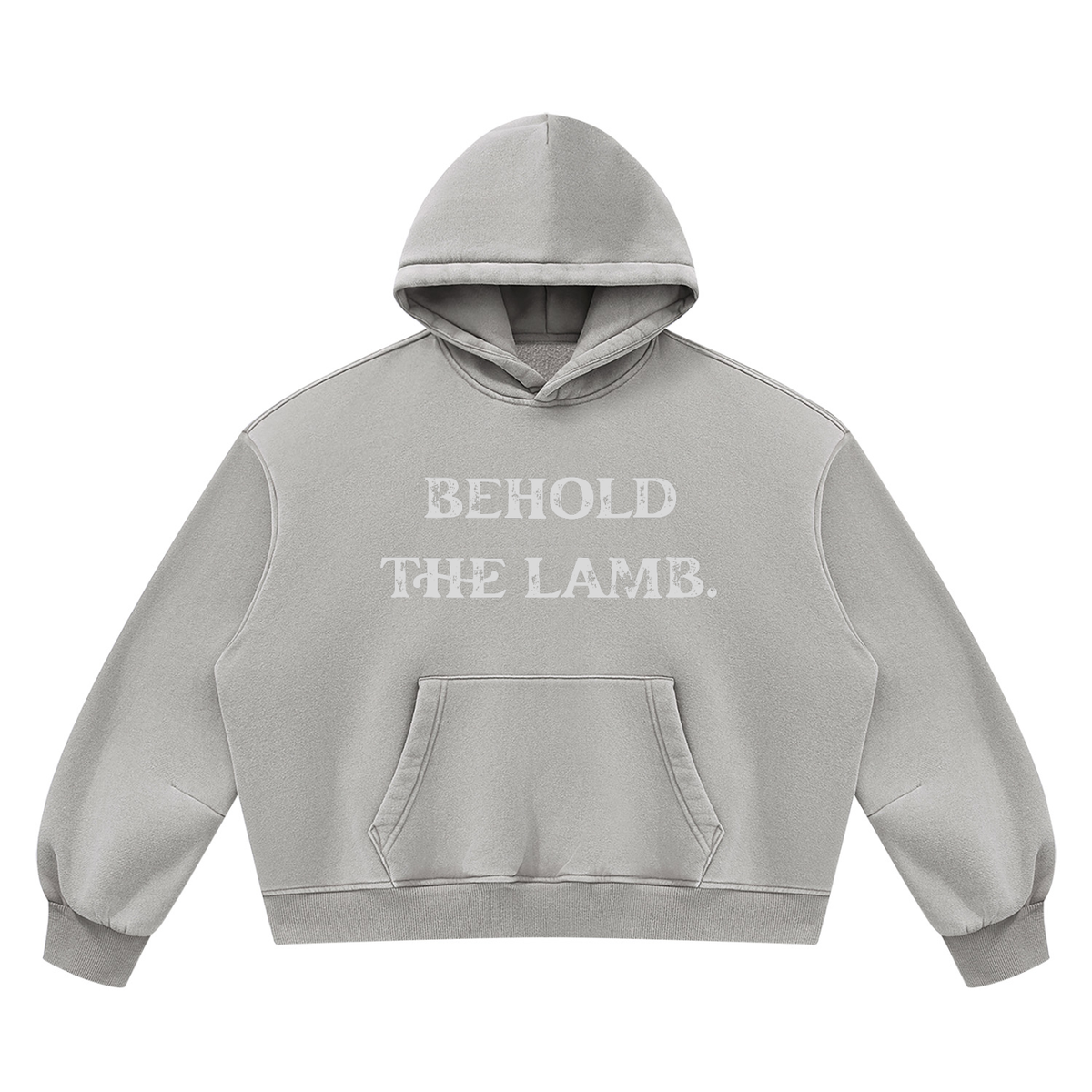 Behold The Lamb Unisex Vintage Wash Boxy Fleece Hoodie